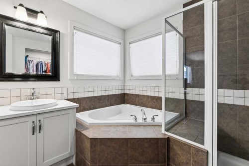 421 Auburn Bay Boulevard Se, Calgary, AB - Indoor Photo Showing Bathroom