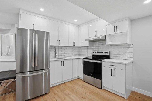 61 Calhoun Crescent Ne, Calgary, AB - Indoor Photo Showing Kitchen With Stainless Steel Kitchen With Upgraded Kitchen