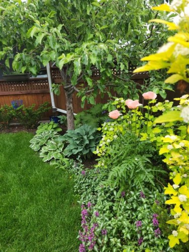 1619 47 Street Sw, Calgary, AB - Outdoor