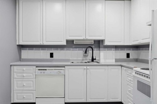 203-3103 Blakiston Drive Nw, Calgary, AB - Indoor Photo Showing Kitchen With Double Sink