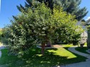 807 8 Avenue Se, High River, AB 
