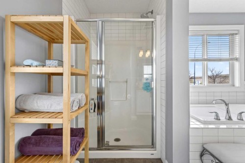 41 Westridge Road, Okotoks, AB - Indoor Photo Showing Bathroom