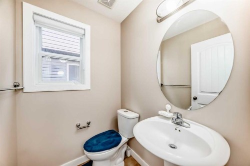 299 Saddlebrook Circle Ne, Calgary, AB - Indoor Photo Showing Bathroom