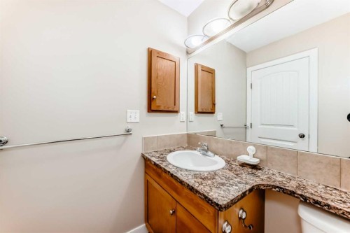 299 Saddlebrook Circle Ne, Calgary, AB - Indoor Photo Showing Bathroom