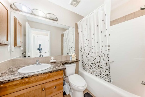 299 Saddlebrook Circle Ne, Calgary, AB - Indoor Photo Showing Bathroom