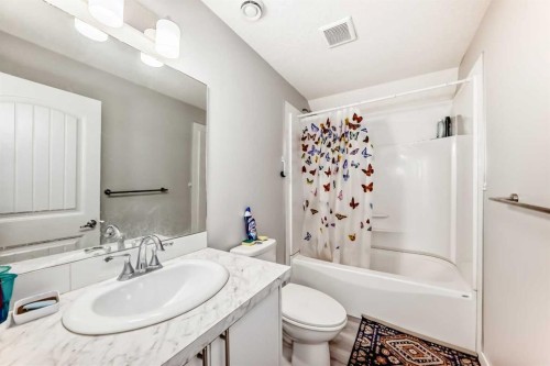 299 Saddlebrook Circle Ne, Calgary, AB - Indoor Photo Showing Bathroom