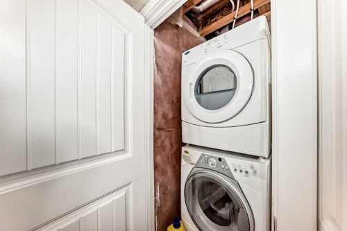 299 Saddlebrook Circle Ne, Calgary, AB - Indoor Photo Showing Laundry Room