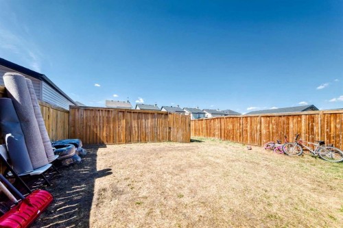 299 Saddlebrook Circle Ne, Calgary, AB - Outdoor