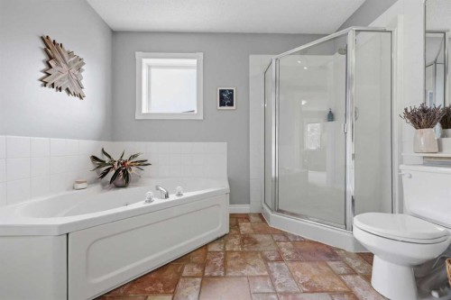 450 Regal Park Ne, Calgary, AB - Indoor Photo Showing Bathroom