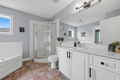 450 Regal Park Ne, Calgary, AB - Indoor Photo Showing Bathroom