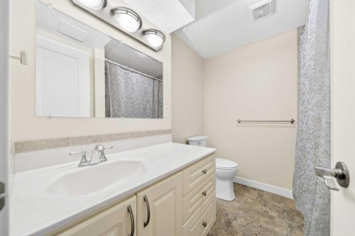1728 Lake Bonavista Drive Se, Calgary, AB - Indoor Photo Showing Bathroom