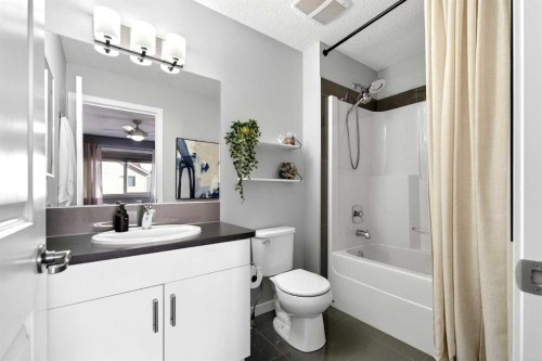 253 Auburn Meadows Boulevard Se, Calgary, AB - Indoor Photo Showing Bathroom