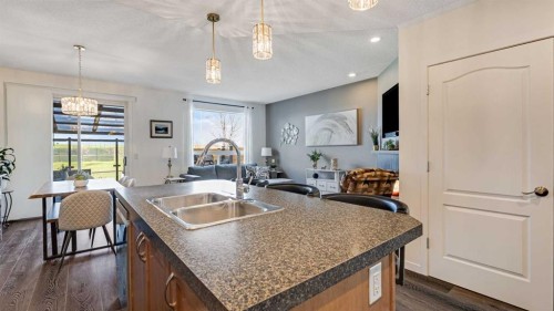 36 New Brighton Landing Se, Calgary, AB - Indoor Photo Showing Kitchen With Double Sink