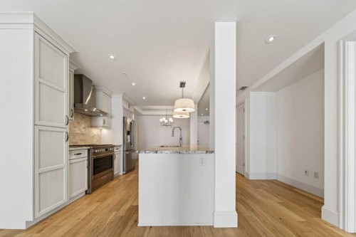305-221 Quarry Way Se, Calgary, AB - Indoor Photo Showing Kitchen With Upgraded Kitchen
