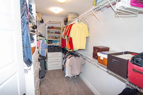 237 Kinniburgh Way, Chestermere, AB - Indoor With Storage