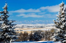 57 Uplands Ridge SW Rural Rocky View County, AB T3Z 3N5