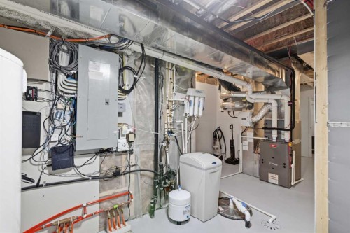 117 Spring Water Close, Heritage Pointe, AB - Indoor Photo Showing Basement