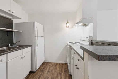 9812 2 Street Se, Calgary, AB - Indoor Photo Showing Kitchen With Double Sink