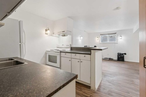 9812 2 Street Se, Calgary, AB - Indoor Photo Showing Kitchen With Double Sink