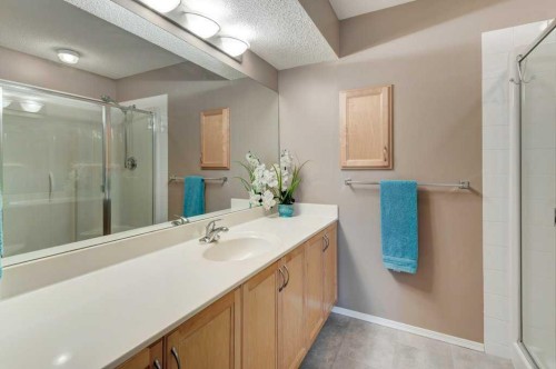 15 New Brighton Manor Se, Calgary, AB - Indoor Photo Showing Bathroom