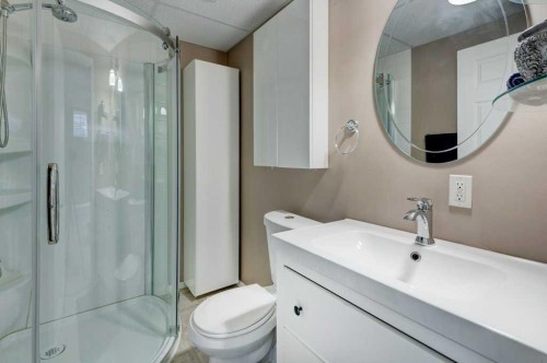 15 New Brighton Manor Se, Calgary, AB - Indoor Photo Showing Bathroom
