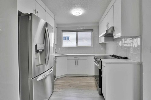 44 Falmead Road Ne, Calgary, AB - Indoor Photo Showing Kitchen With Upgraded Kitchen