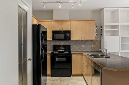 206-3651 Marda Link Sw, Calgary, AB - Indoor Photo Showing Kitchen With Double Sink