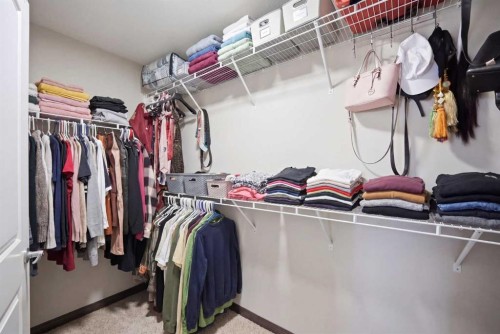 233 Aspenmere Circle, Chestermere, AB - Indoor With Storage