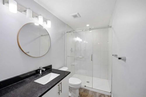 233 Aspenmere Circle, Chestermere, AB - Indoor Photo Showing Bathroom