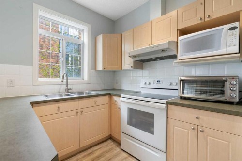 210-5703 5 Street Sw, Calgary, AB - Indoor Photo Showing Kitchen With Double Sink