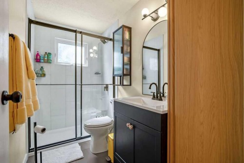 99 Beddington Crescent Ne, Calgary, AB - Indoor Photo Showing Bathroom