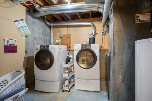 99 Beddington Crescent Ne, Calgary, AB - Indoor Photo Showing Laundry Room