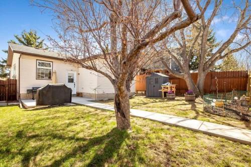 99 Beddington Crescent Ne, Calgary, AB - Outdoor