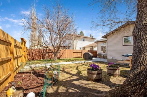 99 Beddington Crescent Ne, Calgary, AB - Outdoor With Deck Patio Veranda