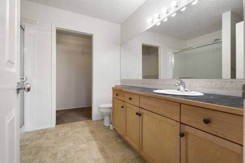 112 Everridge Drive Sw, Calgary, AB - Indoor Photo Showing Bathroom