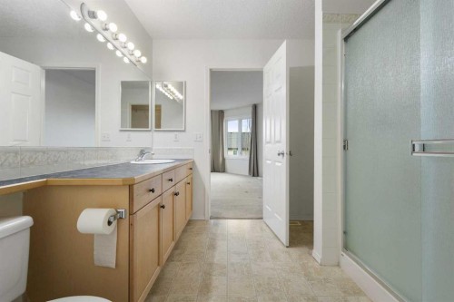 112 Everridge Drive Sw, Calgary, AB - Indoor Photo Showing Bathroom