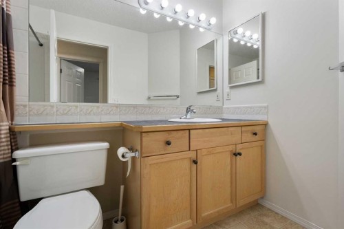112 Everridge Drive Sw, Calgary, AB - Indoor Photo Showing Bathroom