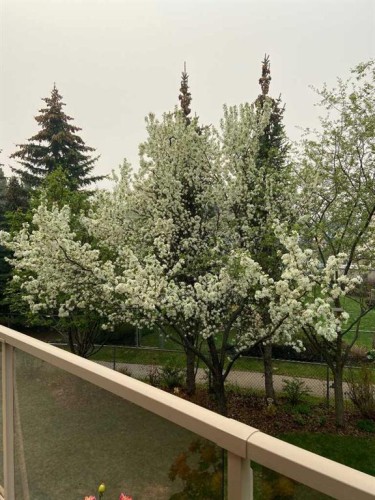 527 Scimitar Bay Nw, Calgary, AB - Outdoor With Balcony