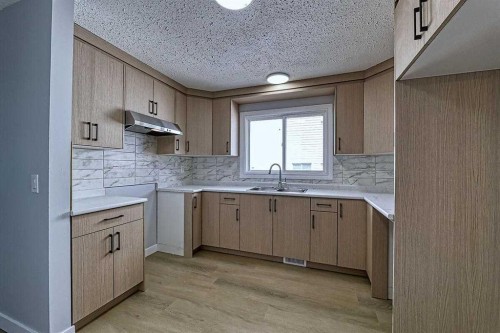 71 Falton Drive Ne, Calgary, AB - Indoor Photo Showing Kitchen With Double Sink