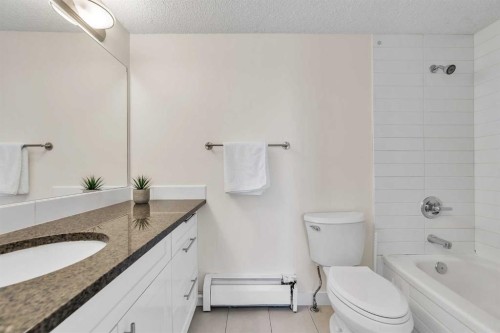 406-4455A Greenview Drive Ne, Calgary, AB - Indoor Photo Showing Bathroom