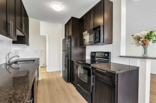 406-4455A Greenview Drive Ne, Calgary, AB - Indoor Photo Showing Kitchen With Upgraded Kitchen