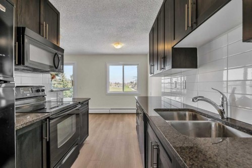 406-4455A Greenview Drive Ne, Calgary, AB - Indoor Photo Showing Kitchen With Double Sink