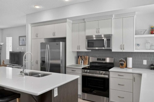 210 Nolanlake Villas Nw, Calgary, AB - Indoor Photo Showing Kitchen With Double Sink With Upgraded Kitchen