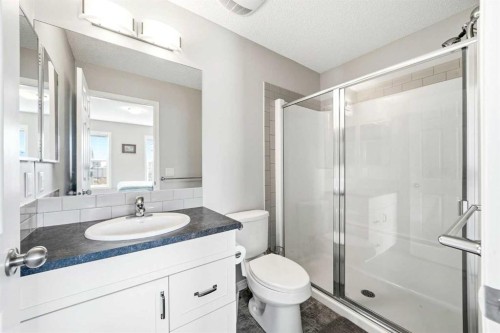 117 Copperpond Parade Se, Calgary, AB - Indoor Photo Showing Bathroom