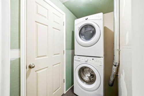 117 Copperpond Parade Se, Calgary, AB - Indoor Photo Showing Laundry Room