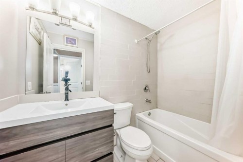 4208 58 Street Ne, Calgary, AB - Indoor Photo Showing Bathroom