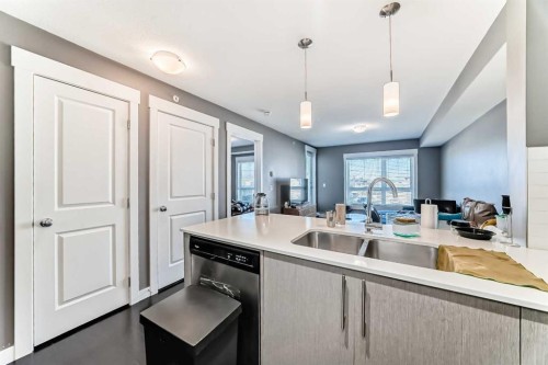 6409-302 Skyview Ranch Drive Ne, Calgary, AB - Indoor Photo Showing Kitchen With Double Sink