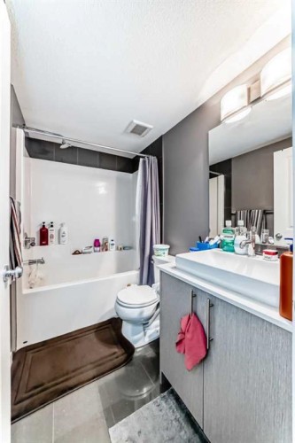 6409-302 Skyview Ranch Drive Ne, Calgary, AB - Indoor Photo Showing Bathroom