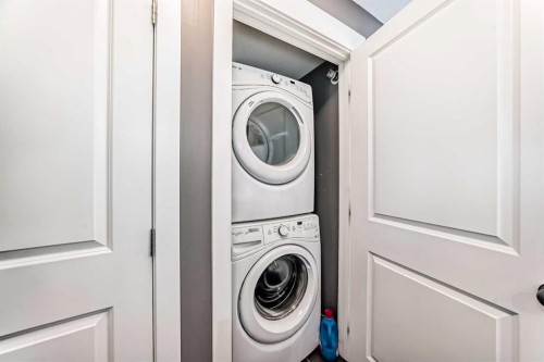 6409-302 Skyview Ranch Drive Ne, Calgary, AB - Indoor Photo Showing Laundry Room