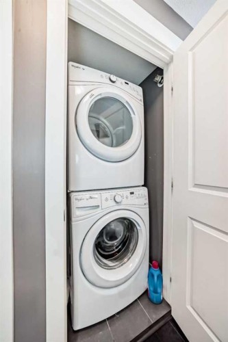 6409-302 Skyview Ranch Drive Ne, Calgary, AB - Indoor Photo Showing Laundry Room